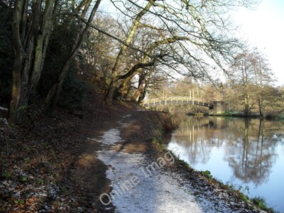 Foto 6x4 Gehen auf die Brücke zu, die Sie vom St. Catherine's Hill führt c2009
