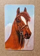 1 x Vintage Playing Card - Horse