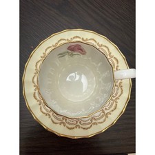 Royal Worcester Cups & Saucers for sale | eBay