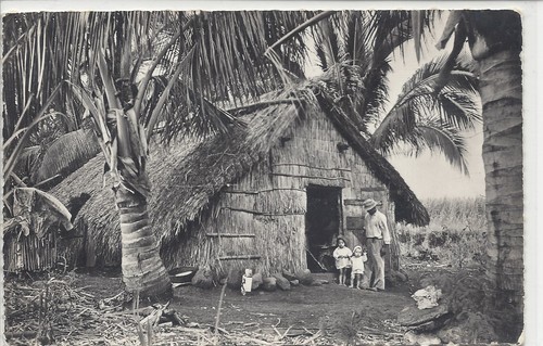 CP La Réunion - Rivière des Pluies - Une Case à l'ombre des cocotiers - Foto 1 di 2