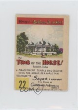 1953 Parkhurst Ripley's Believe It or Not! The Tomb of the Horse #22 7ut