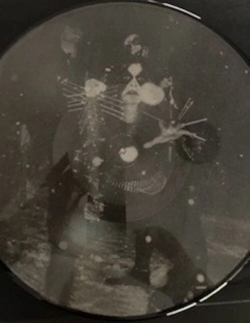 IMMORTAL - The Northern Upir’s Death, New, Black metal, pic LP, Abbath, Mayhem - Image 2 of 2