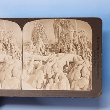 Niagara NY Stereoview 3D um 1900 Echtfoto USA Luna Island schwere Schneeszene