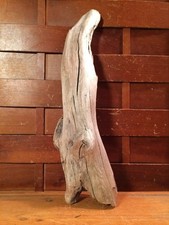 Beautiful 13" DRIFTWOOD Piece Art Terrarium Taxidermy Aquarium Beach Wood DECOR