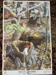 Vintage 1985 Missouri Conservation Poster - Missouri Woodland Songbirds
