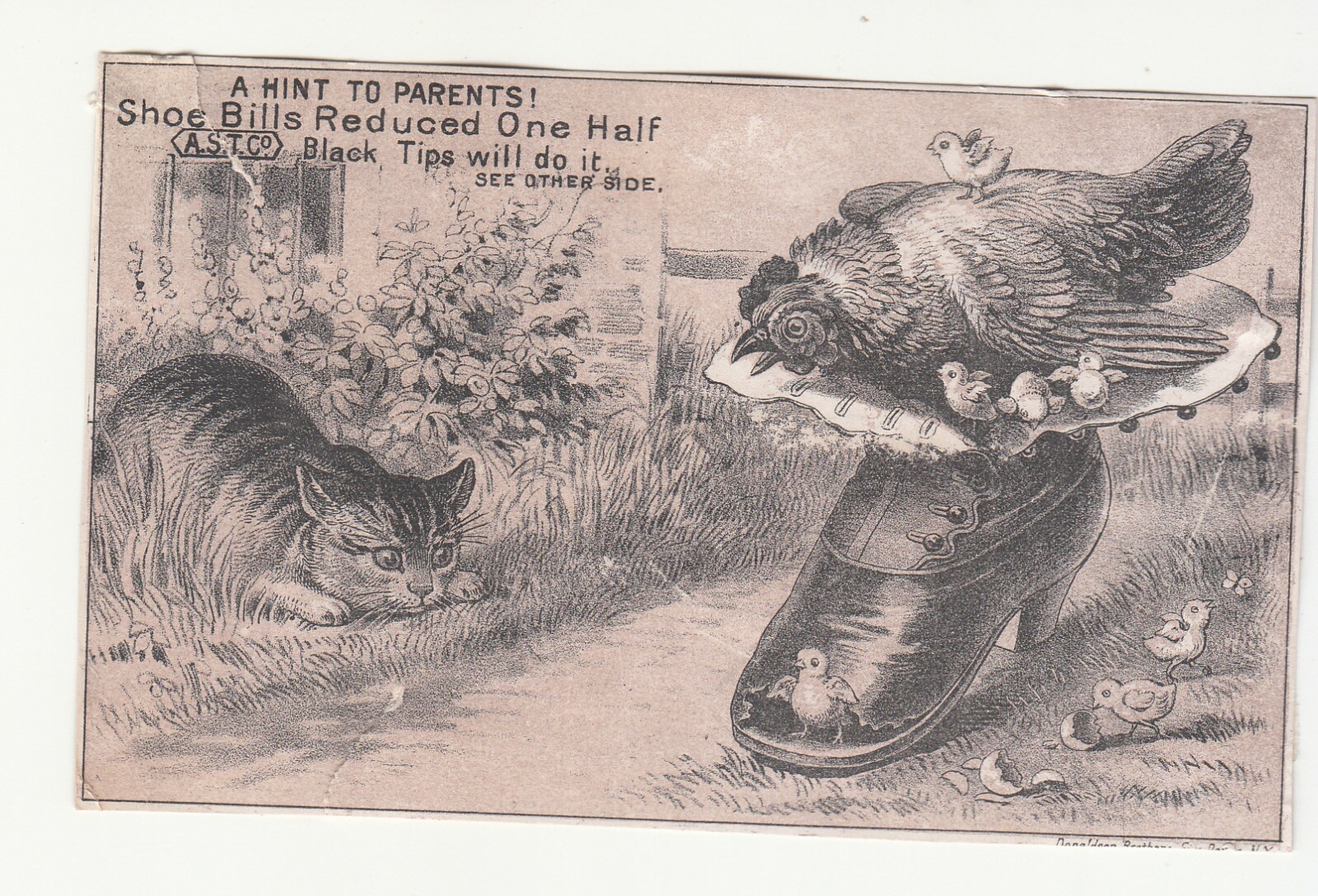 ASTCo Black Tip Shoes John W Vreeland Seneca Falls NY Chicken  Vict Card c1880s