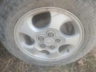 Picture 7 of 11