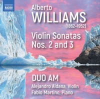Duo Am - Williams - Vln Sonatas 2 And 3 - Cd - G4Z