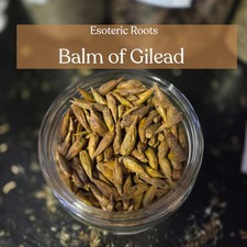 Balm of Gilead Populus Bud Herb Spell Witchcraft Herbs Pagan
