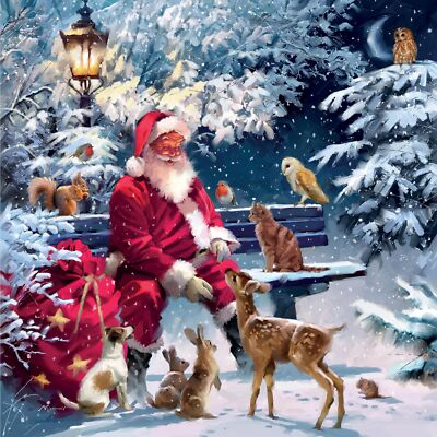 Magical Xmas Jolly Santa Feeding Forest Friends 5 Charity Weihnachtskarten Paket