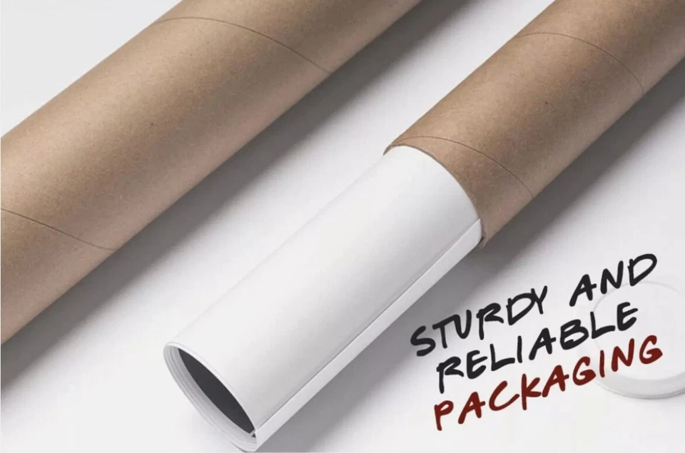 Calcomanía Fiat 500 595 Abarth grande Scorpion ambos lados gráficos personalizados Foto 3 de 4