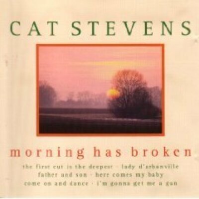 Cat Stevens Morning has broken (compilation, 16 tracks, 1998, fnm) [CD]