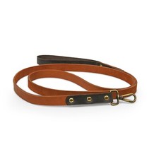 Personalized Brown Leather Dog Leash Custom Name Engraved Dog Lover Owner Gift