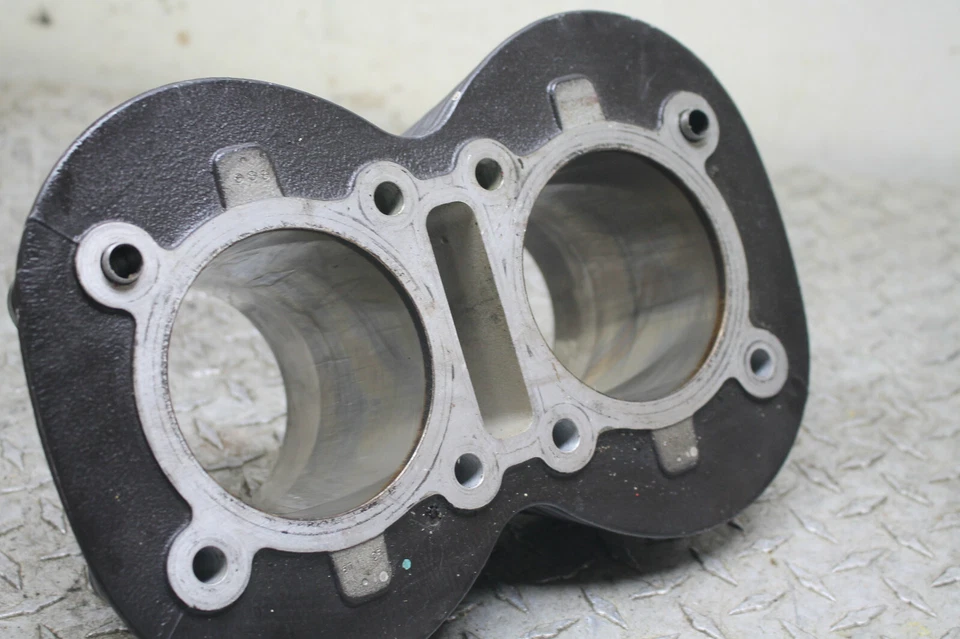 Triumph Bonneville T100 & America 900 & Speedmaster Cylinder Barrel Jugs - Imagem 2 de 4