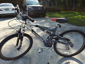 schwinn s 25 mountain bike