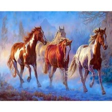 Paint By Numbers Adults kids Horses Animals DIY Painting Kit 40x50CM Canvas