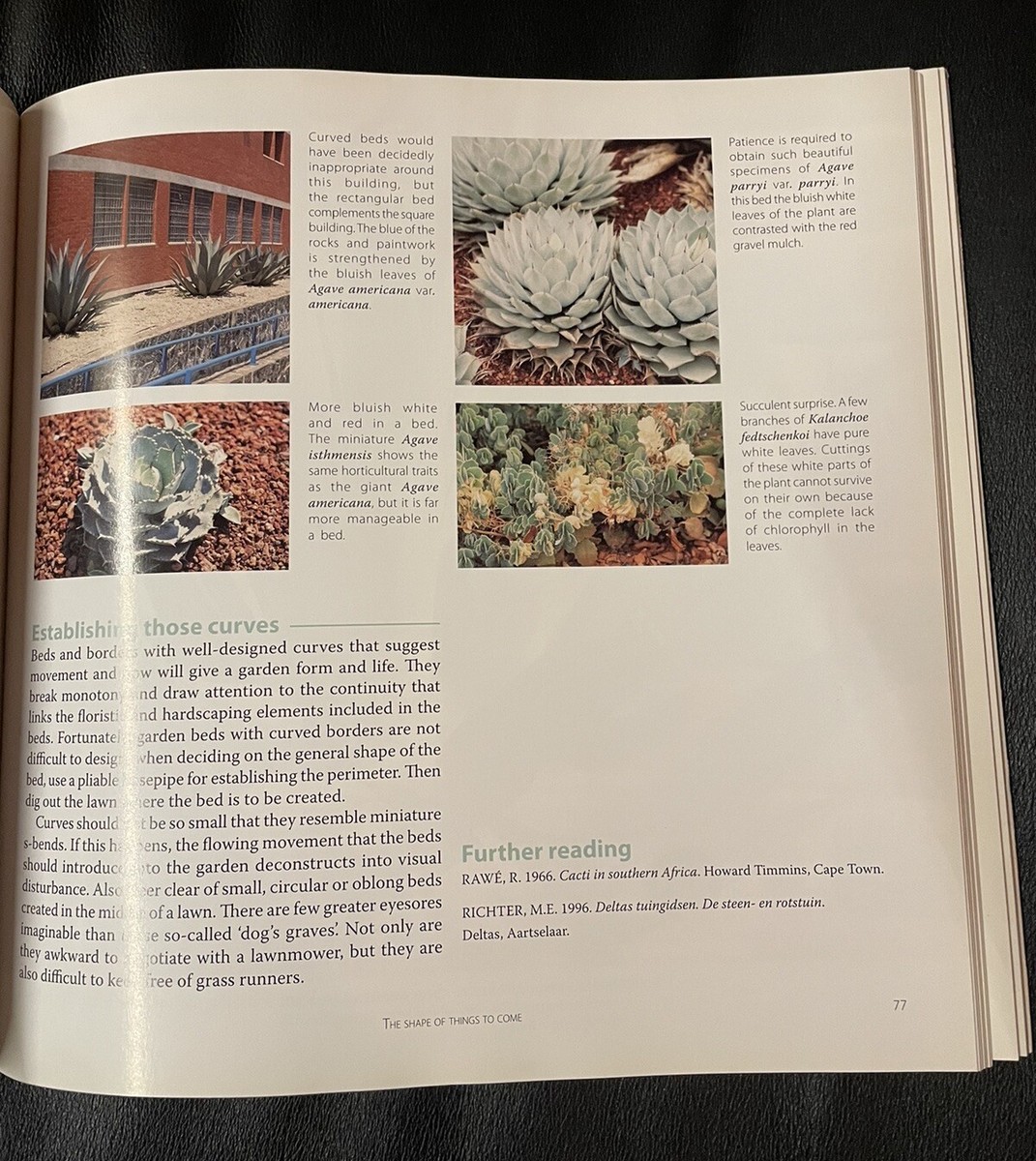 Gardening with Succulents Softcover Book by Gideon Smith Plants