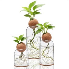 3 Pcs Glass Plant Propagation Stations for Plants with Spherical Lids and Cor...