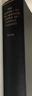 #ad #ad The Anatomy Of The Nervous System Of Octopus Vulgaris Jo Young 1971 1st Ed Rare $250.00