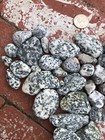 42 Natural Pacific Ocean Beach Stones Rocks Hand Picked from California Beaches — photo 2