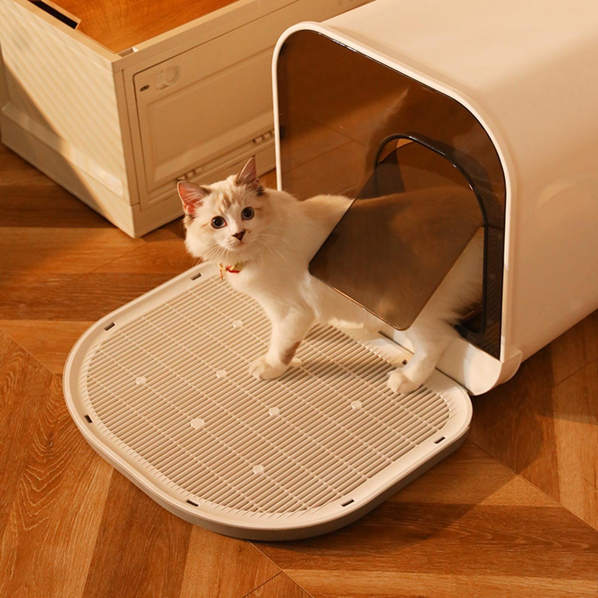 Cat Litter Mat Double Layer Trapping for Kitty Indoor Cats Pet