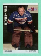 (1) ROY WORTERS  2002-03 ITG # 120 GOALIE BETWEEN THE PIPES CARD (J6711)