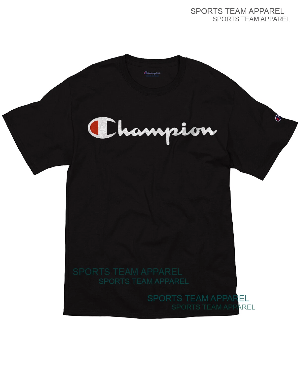 Champion Men's Jersey T-Shirt Classic Fit with Script Logo