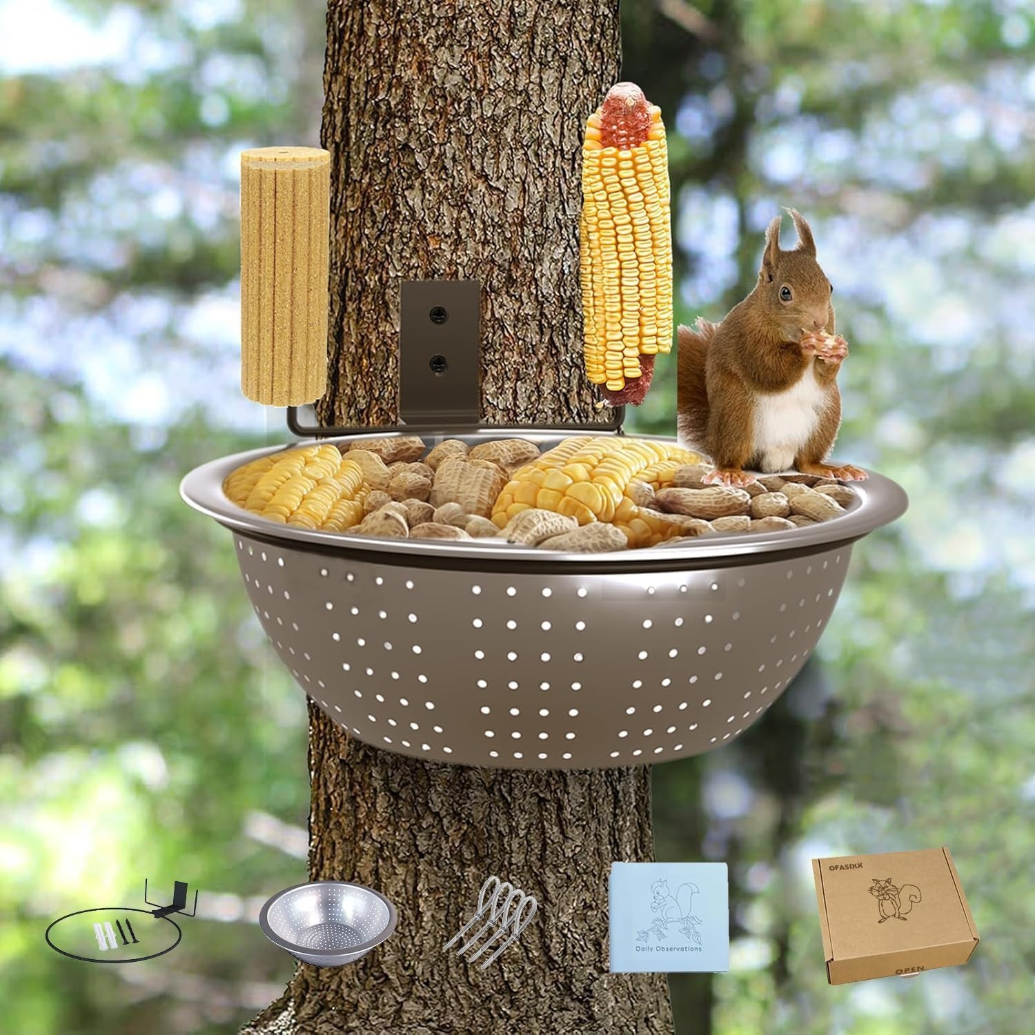 S For Outside-squirrel Feeder With Drainage Holes, Removable