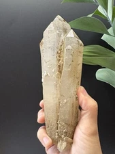 Spectacular 7'' Long High Temperature Quartz Point Natural Crystal Healing #434