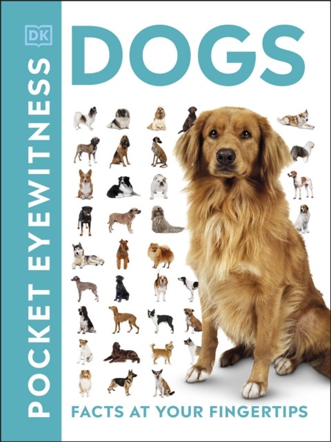 Pocket Eyewitness Dogs Facts at Your Fingertips by DK (Paperback Book)