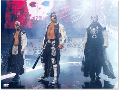 AEW Full Gear 2023 Sting Darby Allin Adam Copeland 18x24 Poster Print