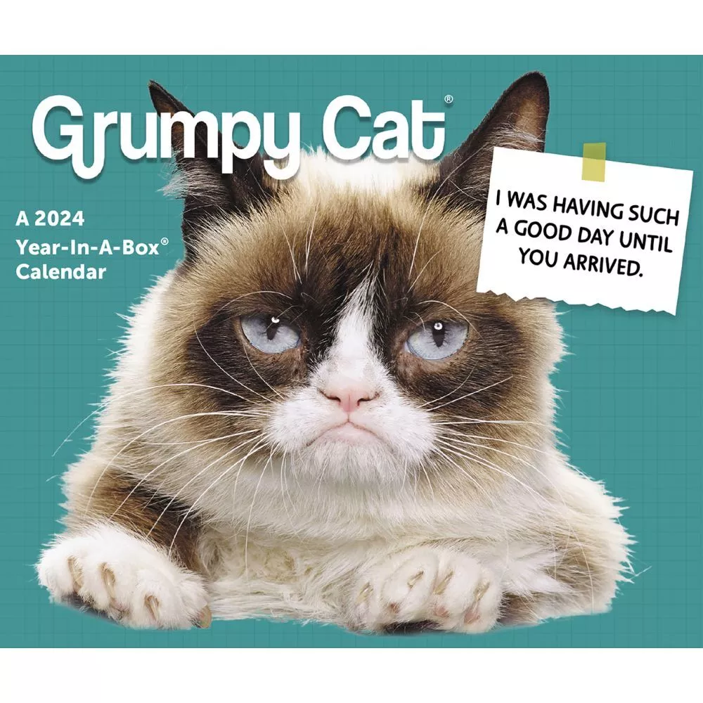 Game Over, Grumpy Cat