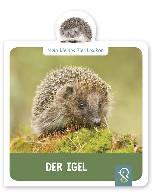 Thumbnail - Hannah Kastenhuber Mein Kleines Tier-lexikon - Der Igel 9783946360162
