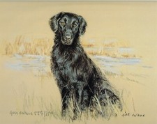 Flat Coated Retriever Print, Flat Coated Retriever Picture,  Gill Evans 101P
