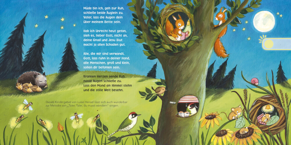 Thumbnail - Hör Mal (soundbuch): Verse Für Kleine: Müde Ich, Geh Zur Ruh ...