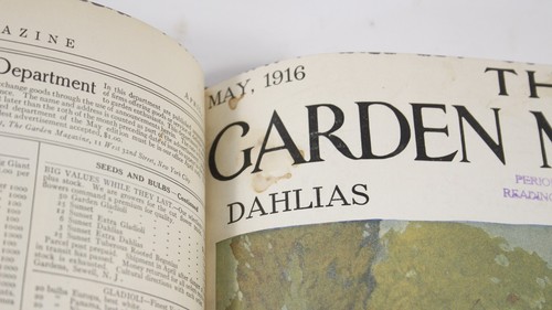 Bound Magazine: The Garden Magazine: February to July 1916 - Picture 7 of 8