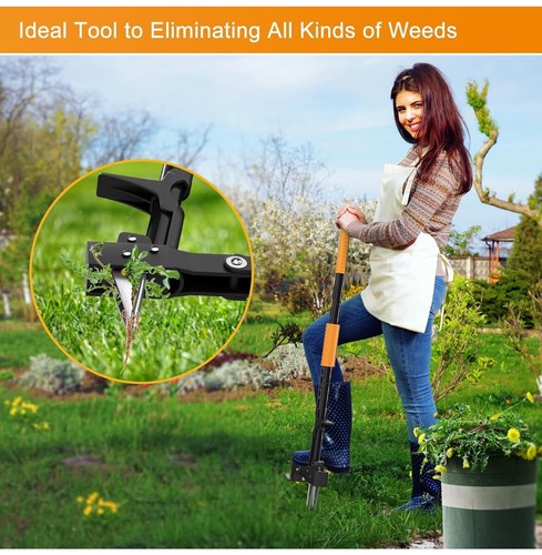 Brewin Weed Puller Tool, Fully Stand Up Weeding Tool with 4 Claws - Zero Bending - Picture 5 of 6