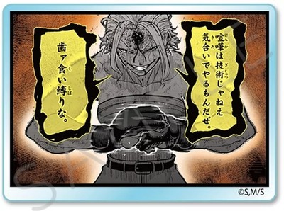 Badge Bins G Sena Riku 3-Way Acrylic Badge 2.8in Used Japan