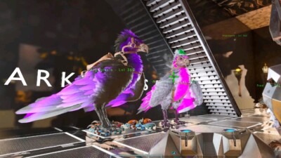 2240 Weight Breeding Pair Of Argys PC PS5 XBOX PVE ASA ARK: Survival Ascended