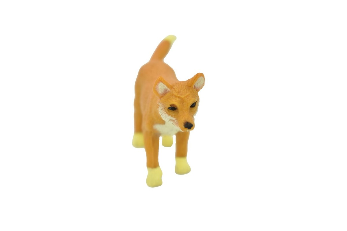 DINGO ディンゴ　BOLLOCKS Dingo Thunder Road Bolt Boots-Orange – Ocotillo