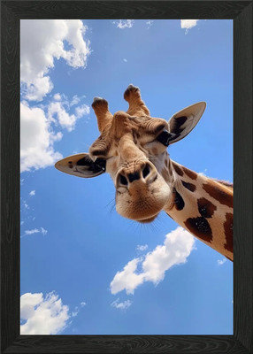 Giraffe Looking Down at Camera Framed Wall Art Poster Canvas Print Picture