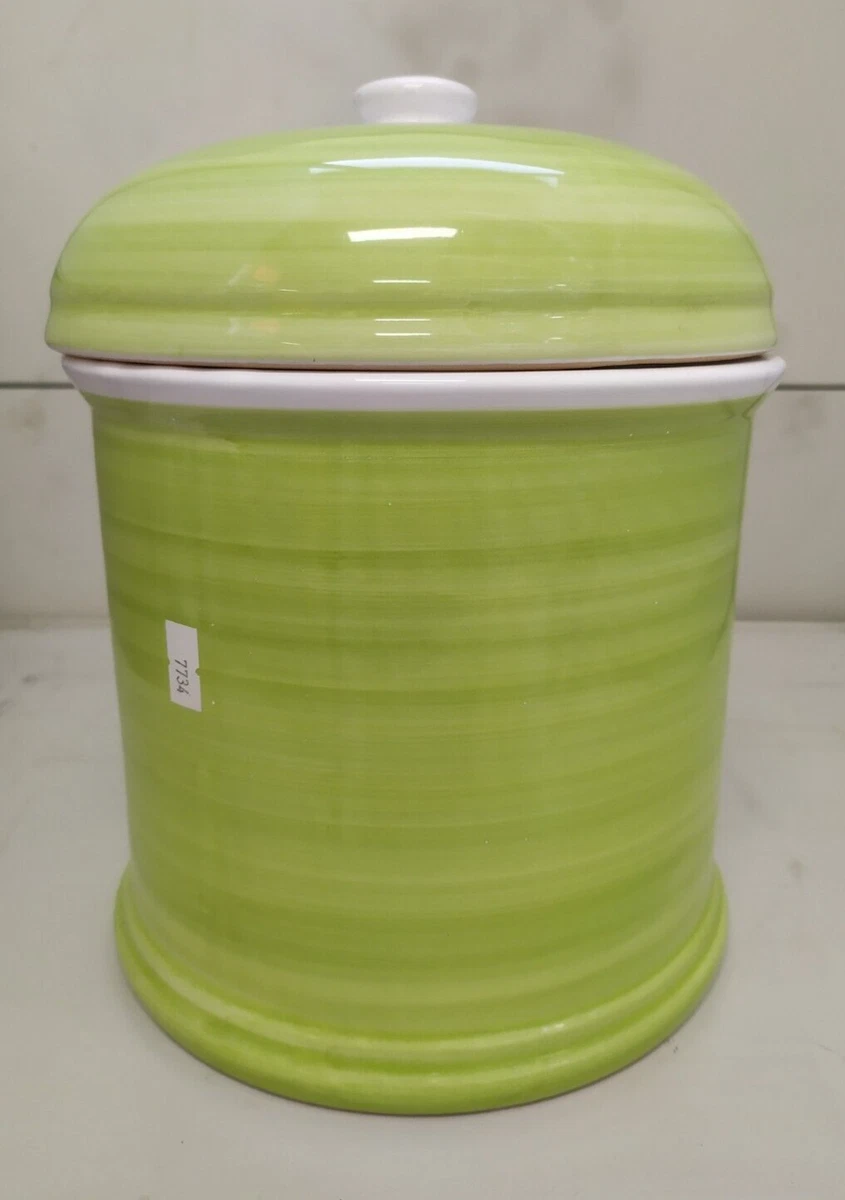 Set Di 5 Cucchiai Dosatori in Ceramica Per Cactus Da Forno Portavasi