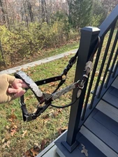 CIRCLE Y Vintage German Silver Show Halter Dark Oil Leather Horse Size