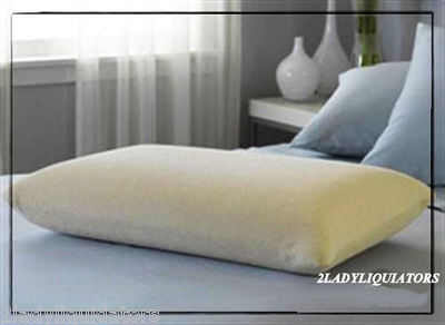 VERY SOFT VISCO ELASTIC MEMORY FOAM PILLOW PROTECTOR PEGASUS HOME FASHION TRAVEL
