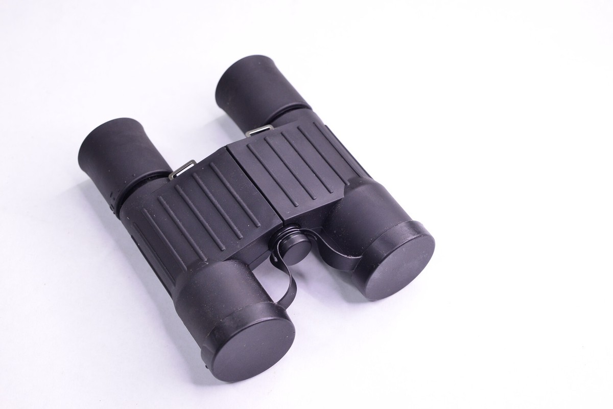 邦楽 DETERMINATIONS / BAYON (7inch) Fujinon Fuji M24 7x28 Waterproof Binoculars Military Hunting