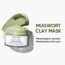 SKINTIFIC Mugwort Mask Acne Clay Mask 55g US Free Tax
