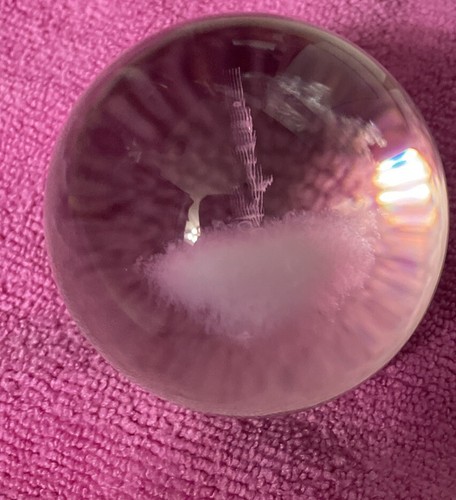 "Esfera de bola de cristal con árbol o planta diseñada con láser 2""" - Imagen 5 de 9