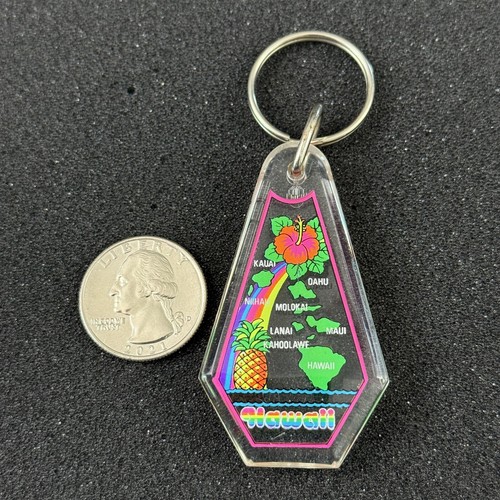 Hawaii Hawaiian Islands State Flower Pineapple Souvenir Keychain Key ...