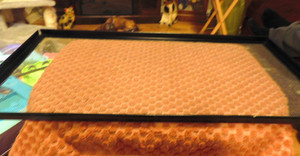 SCREENED AQUARIUM LID for REPTILES, SMALL ANIMALS, ETC.