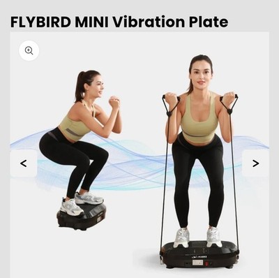 FLYBIRD Vibration Plate HR23-SZJ Vibration Plate Fitness Machine